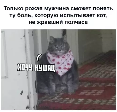 Смешная картинка №464819 Бедные пушистики