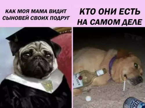 Смешная картинка №276297