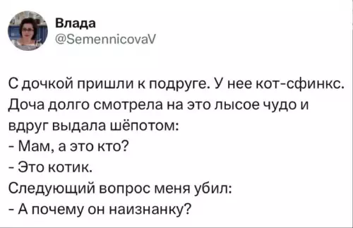Кот-сфинкс и любопытный ребёнок - С дочкой пришли к подруге. У нее кот-сфинкс. Дочка долго