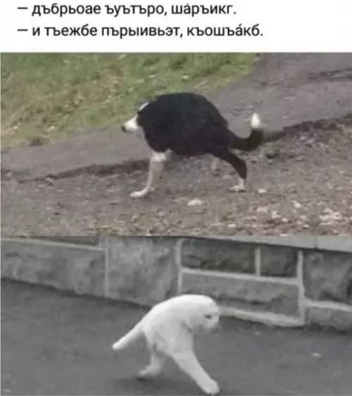 Смешная картинка №483603 Ъеьыъ