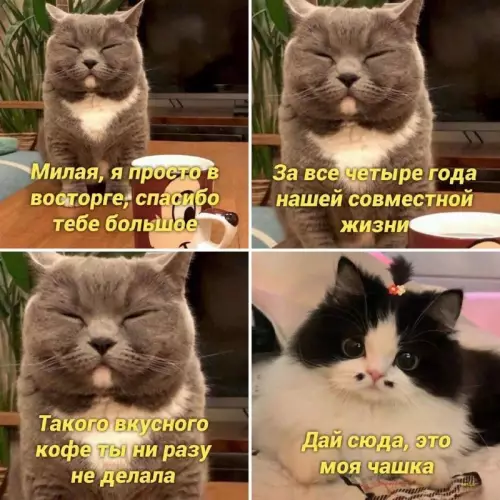 Смешная картинка №730653