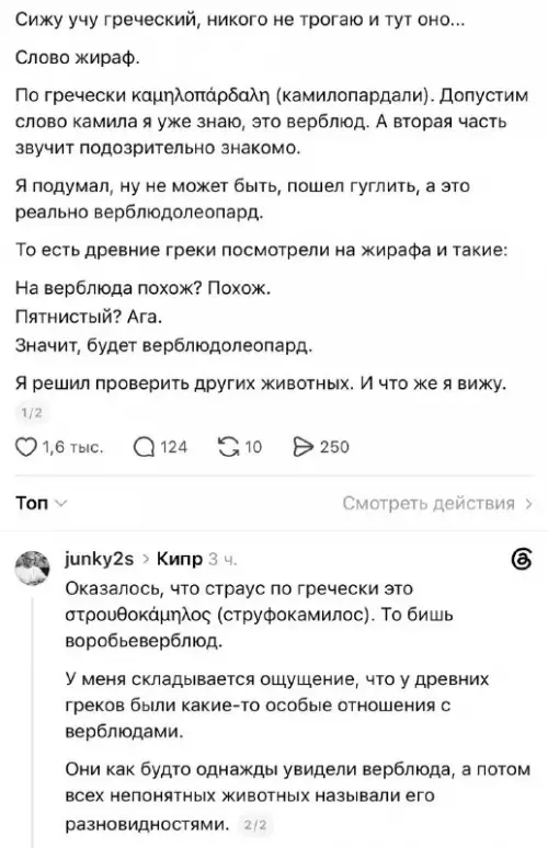Греки и их странная любовь к верблюдам 🐪😂 - Сижу учу греческий, никого не трогаю и тут оно... Слово