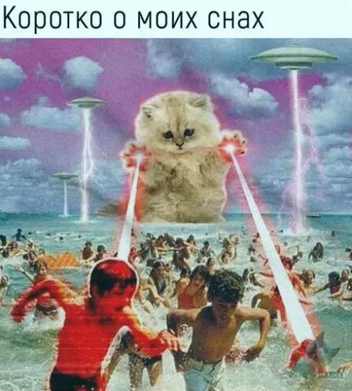 Смешная картинка №445217