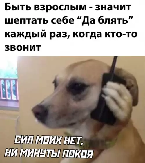 Смешная картинка №544507