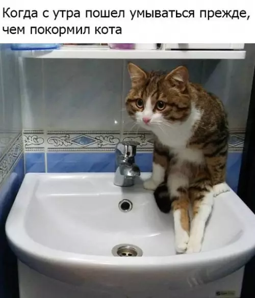 Смешная картинка №255884