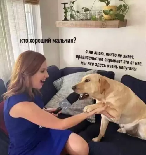 Смешная картинка №665662