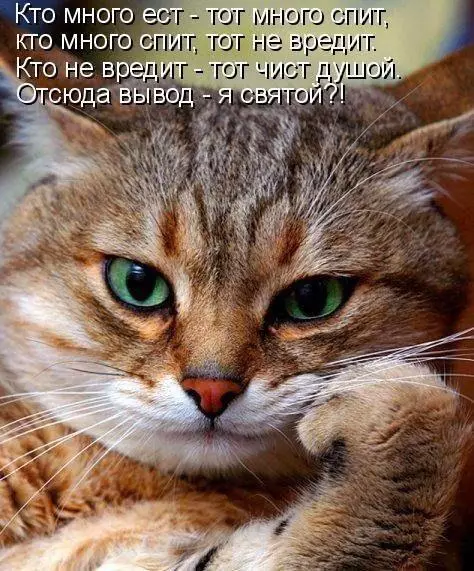 Смешная картинка №189686