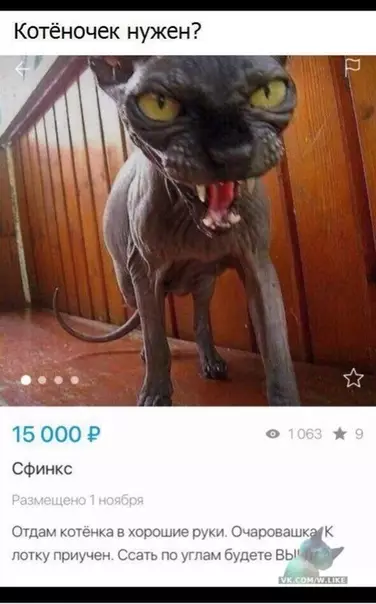 Смешная картинка №358452