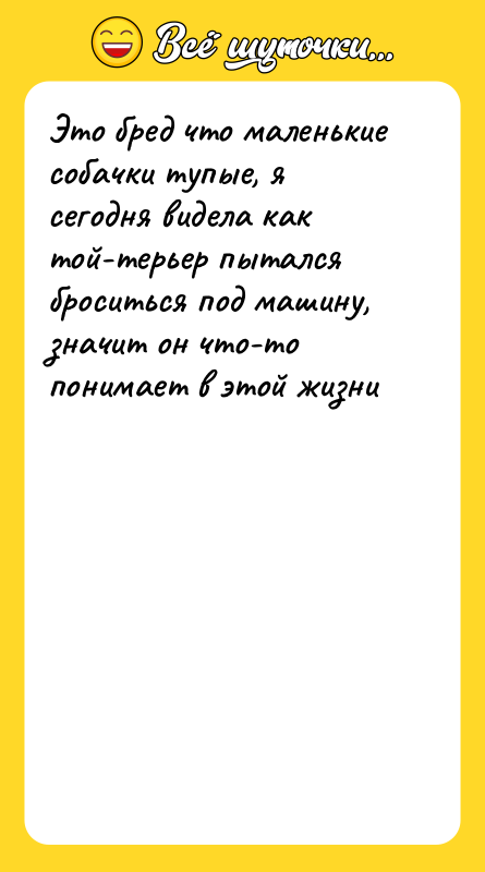 Это бред что маленькие собачки тупые, я сегодня видела как