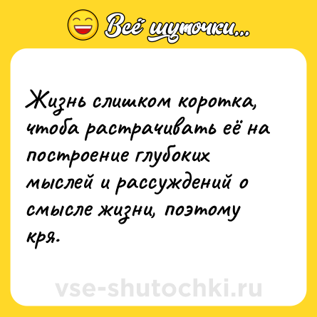 Шутка: Жизнь слишком коротка, чтоба растрачивать её на построение глубоких мыслей и рассуждений о смысле жизни, поэтому кря.