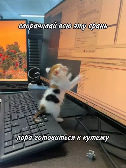 Смешная картинка №774988