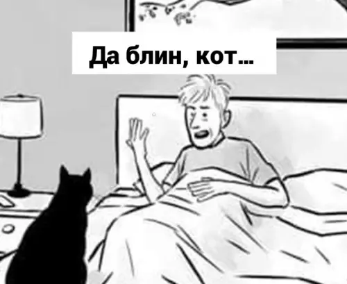 Смешная картинка №599998 Cпocoб нa зaмeткy кoтaм
