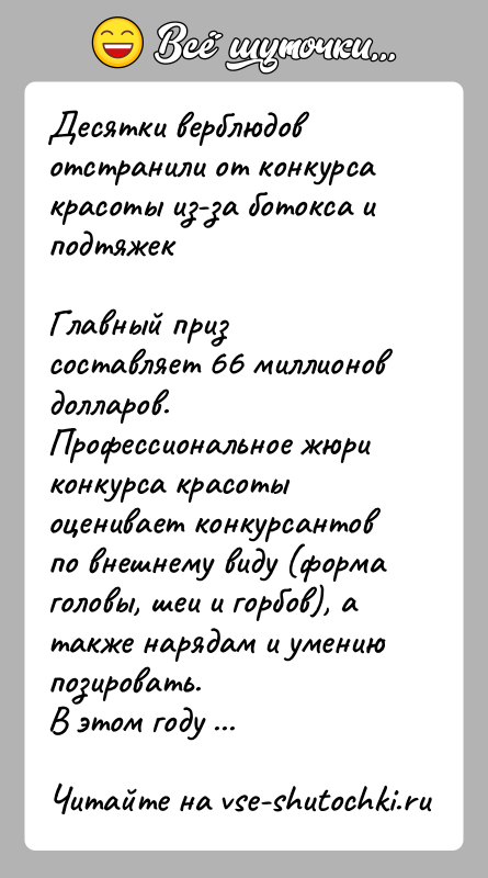История: Десятки верблюдов отстранили от конкурса красоты из-за ботокса и подтяжекГлавный приз составляет 66 миллионов долларов.Профессиональное жюри конкурса красоты оценивает