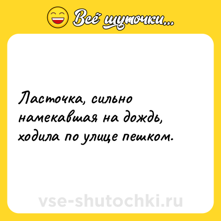 Шутка: Ласточка, сильно намекавшая на дождь, ходила по улице пешком.
