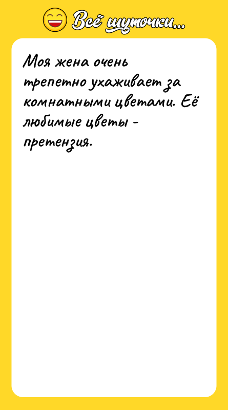Моя жена очень трепетно ухаживает за комнатными цветами. Её любимые