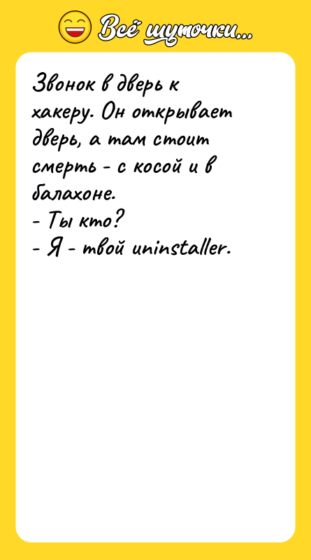 Звонок в дверь к хакеру. Он открывает дверь, а там