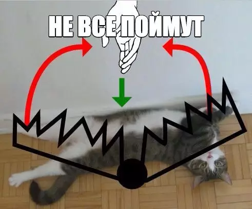 Смешная картинка №252039 Кошки