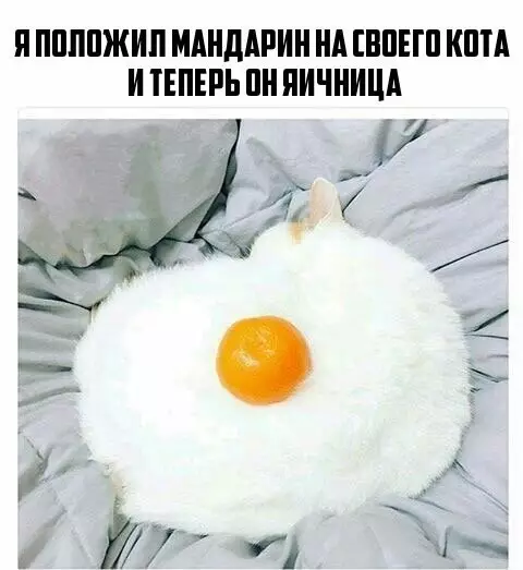 Смешная картинка №214956