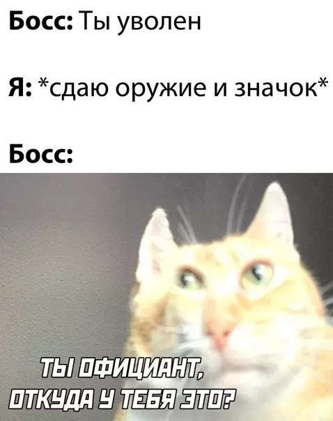 Смешная картинка №548005