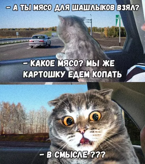 Смешная картинка №378336