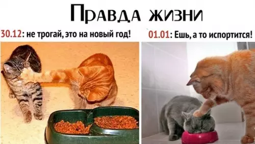 Смешная картинка №318829 новый год