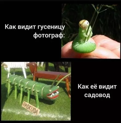 Смешная картинка №708972