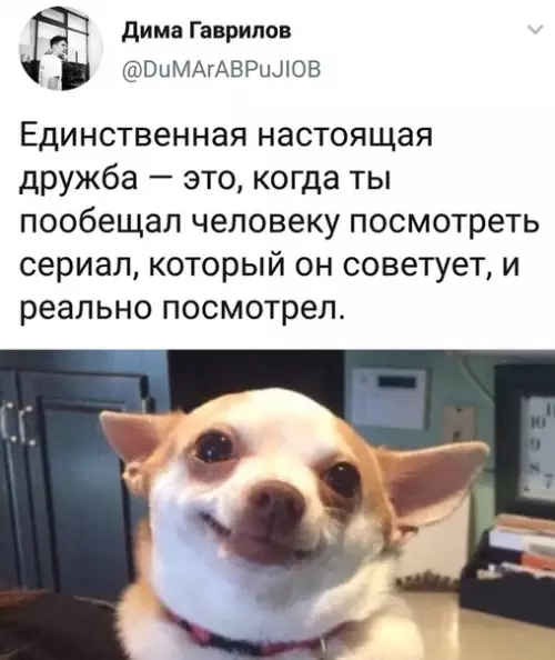 Смешная картинка №503461