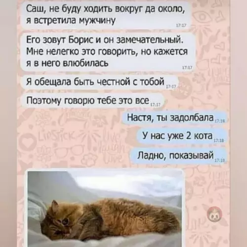 Смешная картинка №610020 Бедный Санек!