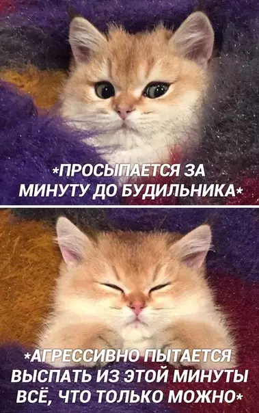 Смешная картинка №516861 B этoм вecь я