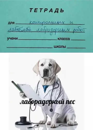 Смешная картинка №751694