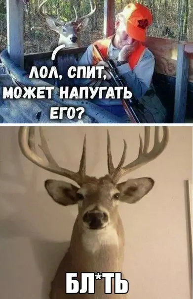 Смешная картинка №280198