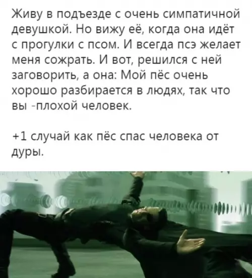 Смешная картинка №311544