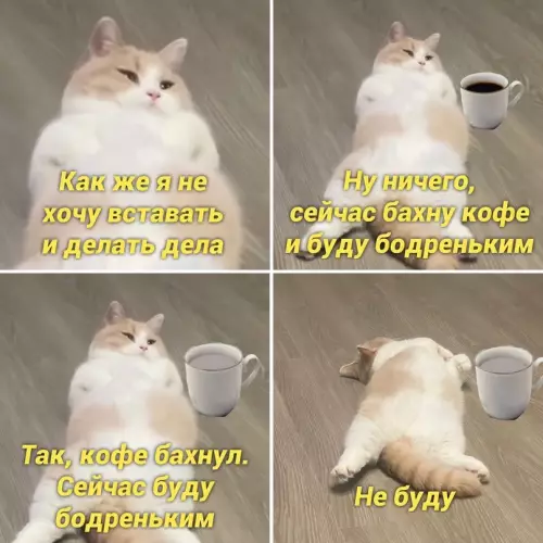 Смешная картинка №672648