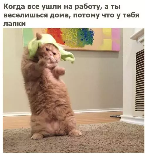 Смешная картинка №213612