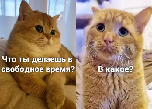 Смешная картинка №503635