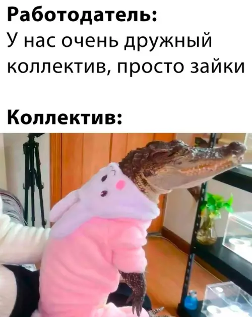 Смешная картинка №693621 И вот так всегда..