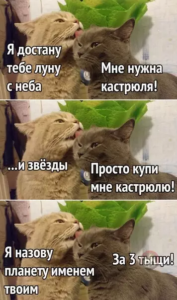 Смешная картинка №509827 Минутка семейного юмора ?