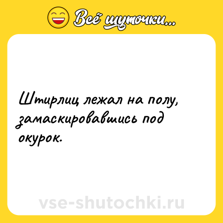 Шутка: Штирлиц лежал на полу, замаскировавшись под окурок.