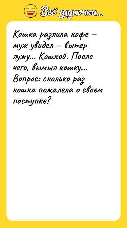 Кошка разлила кофе муж увидел вытер лужу... Кошкой.