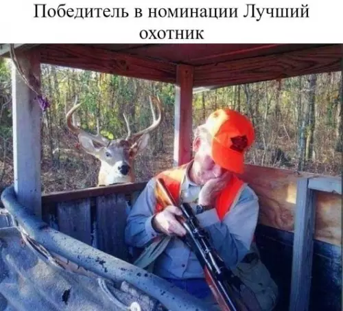 Смешная картинка №368064 Животные