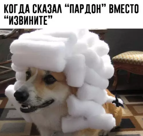 Смешная картинка №204804