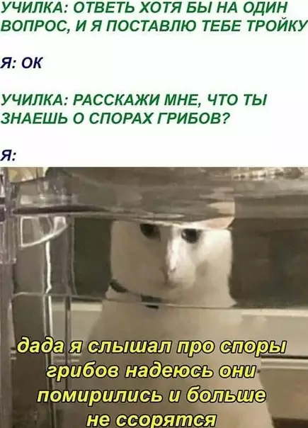 Смешная картинка №565421