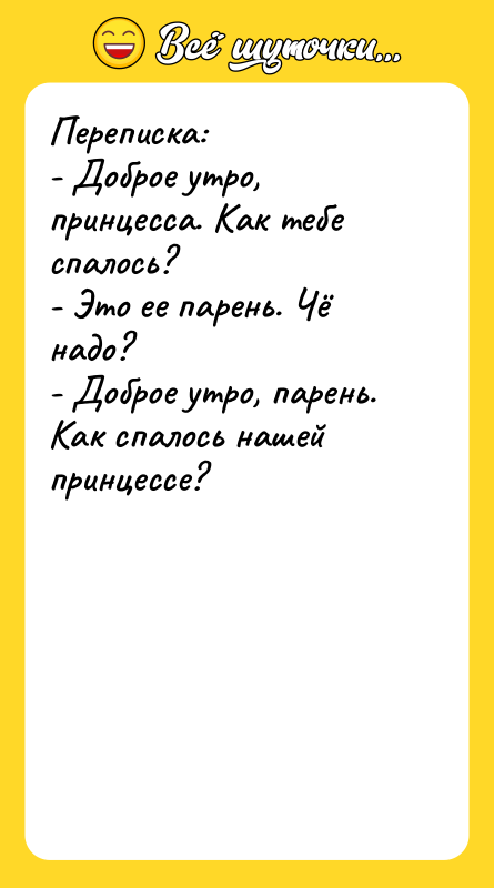 Переписка: - Доброе утро, принцесса. Как тебе спалось? - Это