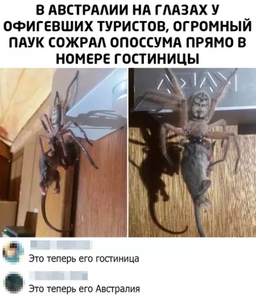 Смешная картинка №476694