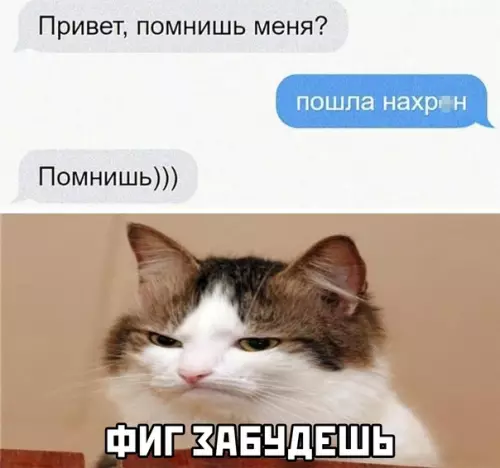 Смешная картинка №565750