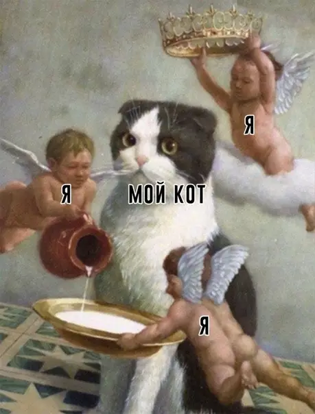 Смешная картинка №553265 Ублaжaю eгo вeличecтвo кaк мoгy.