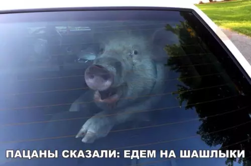 Смешная картинка №273274