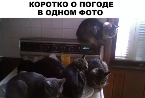 Смешная картинка №316974