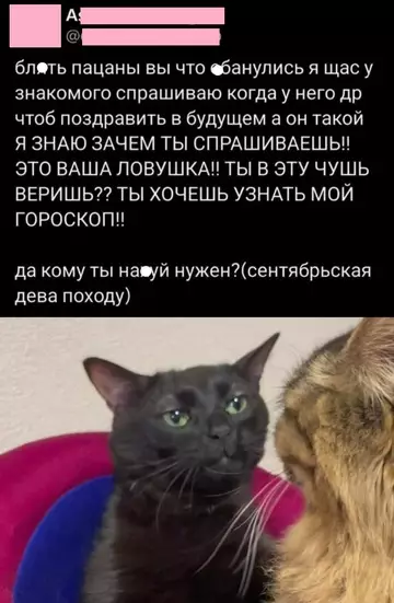 Смешная картинка №753692