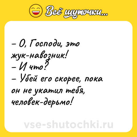 Шутка: О, Господи, это жук-навозник! И что? Убей его скорее, пока он не укатил тебя, человек-дерьмо!